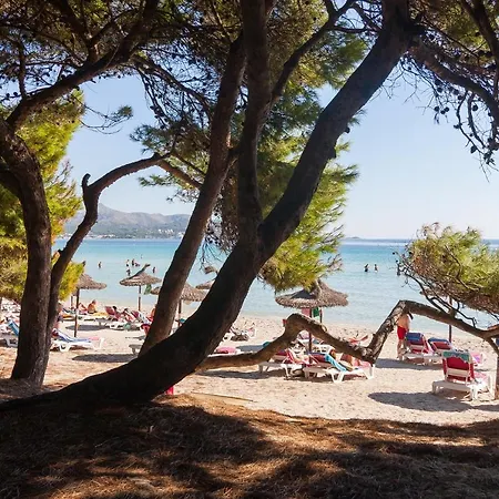 Apartment Alarden Port de Alcudia (Mallorca)